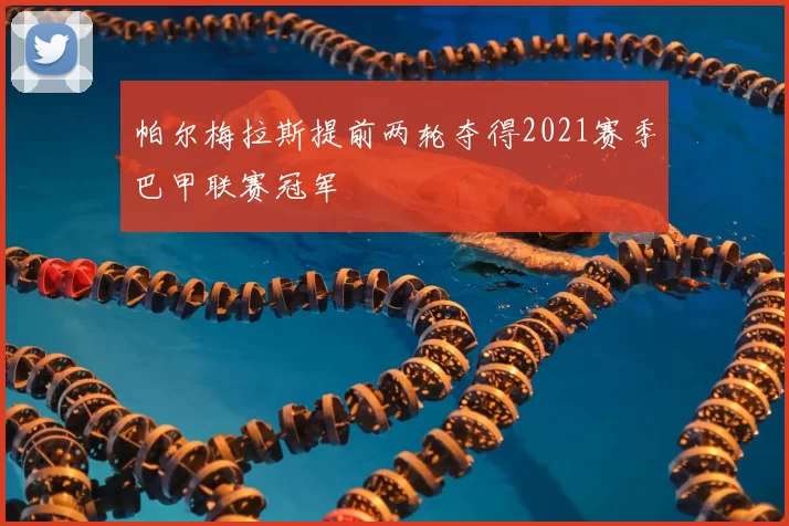帕尔梅拉斯提前两轮夺得2021赛季巴甲联赛冠军