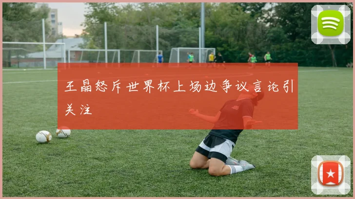 王晶怒斥世界杯上场边争议言论引关注