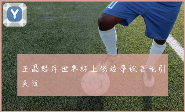 王晶怒斥世界杯上场边争议言论引关注